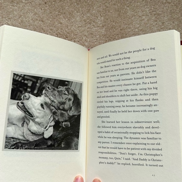 Good Dog. Stay - Book by Anna Quindlen - Picture 5 of 5